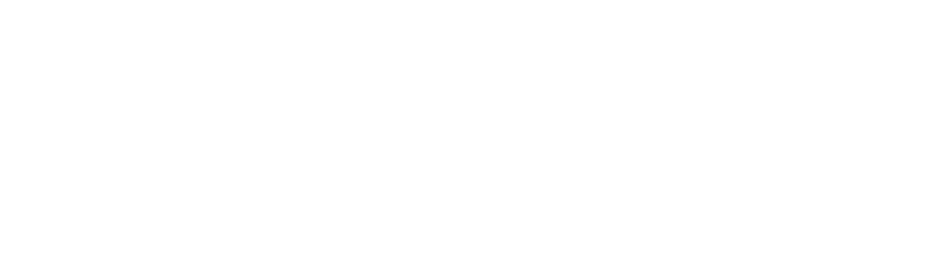 Настоящий Электронный Полис